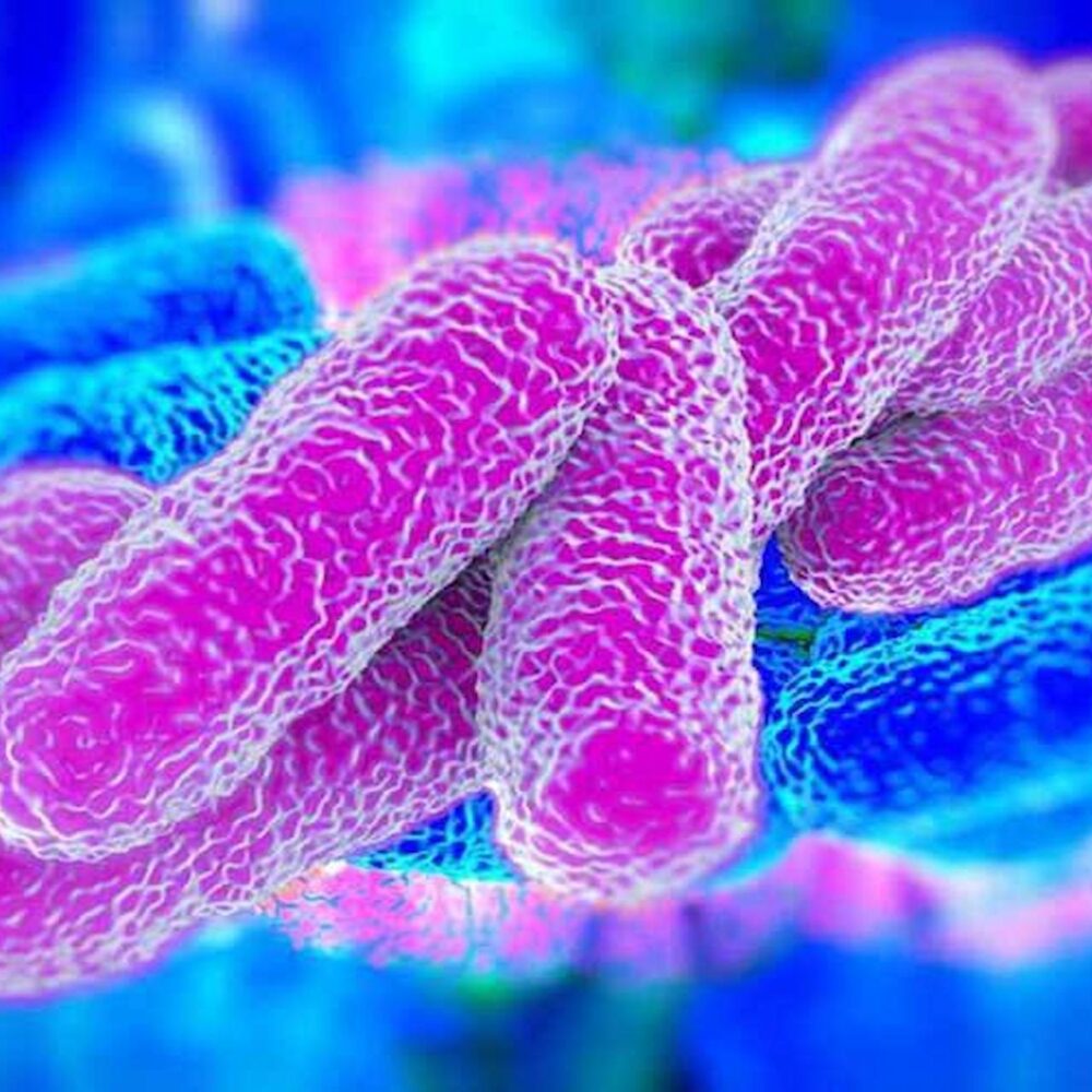 Importance Of Legionella Risk Assessment And Its Significance